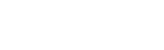 L1111