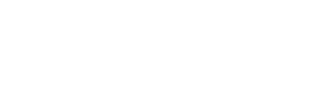 L1919